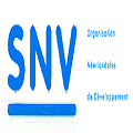 snv